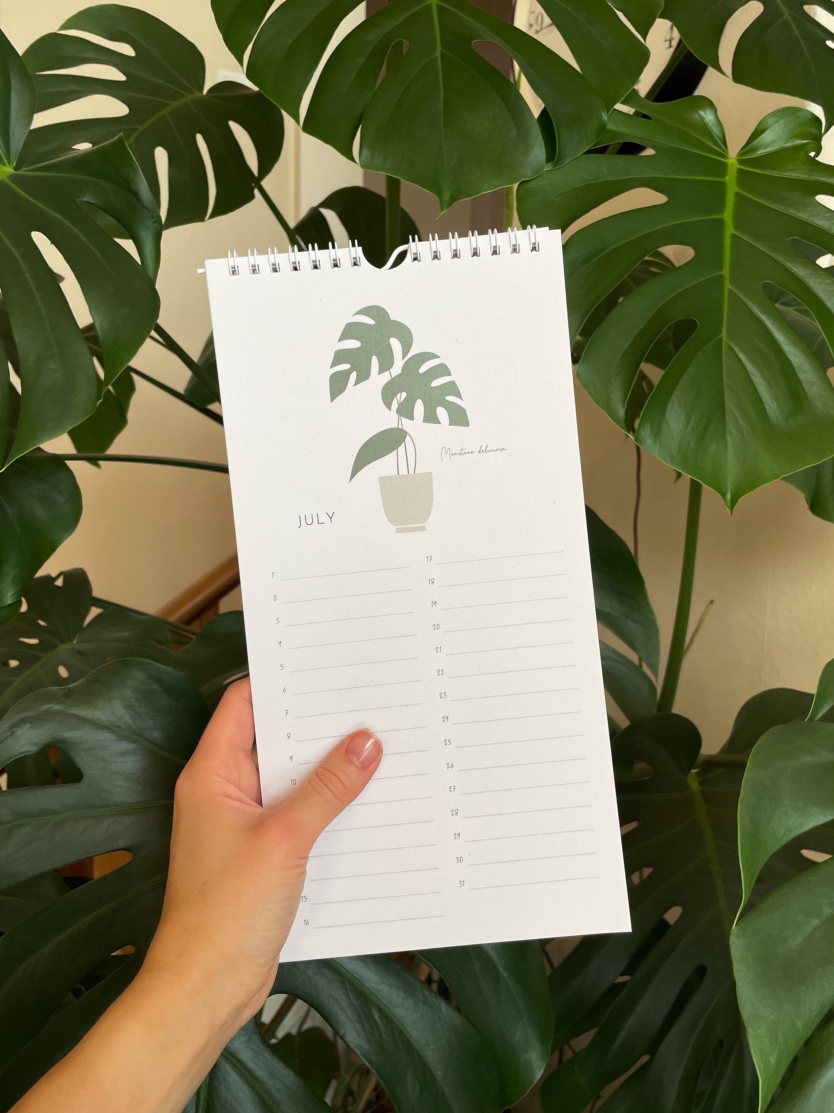 Hand holding a birthday calendar with a plant design against a background of green leaves