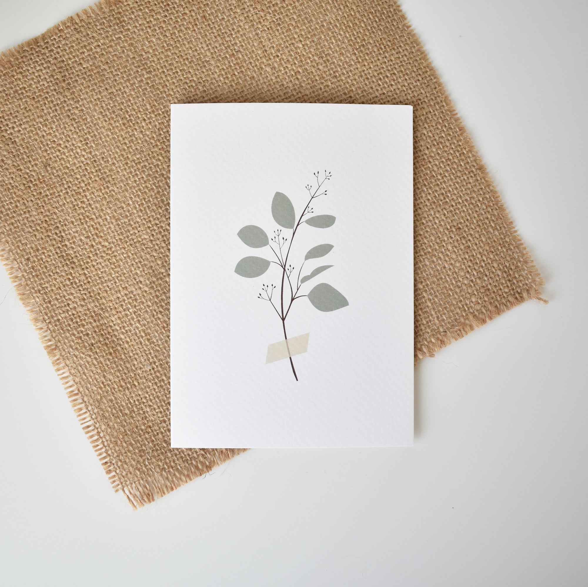 eucalyptus twig greeting card elemente design
