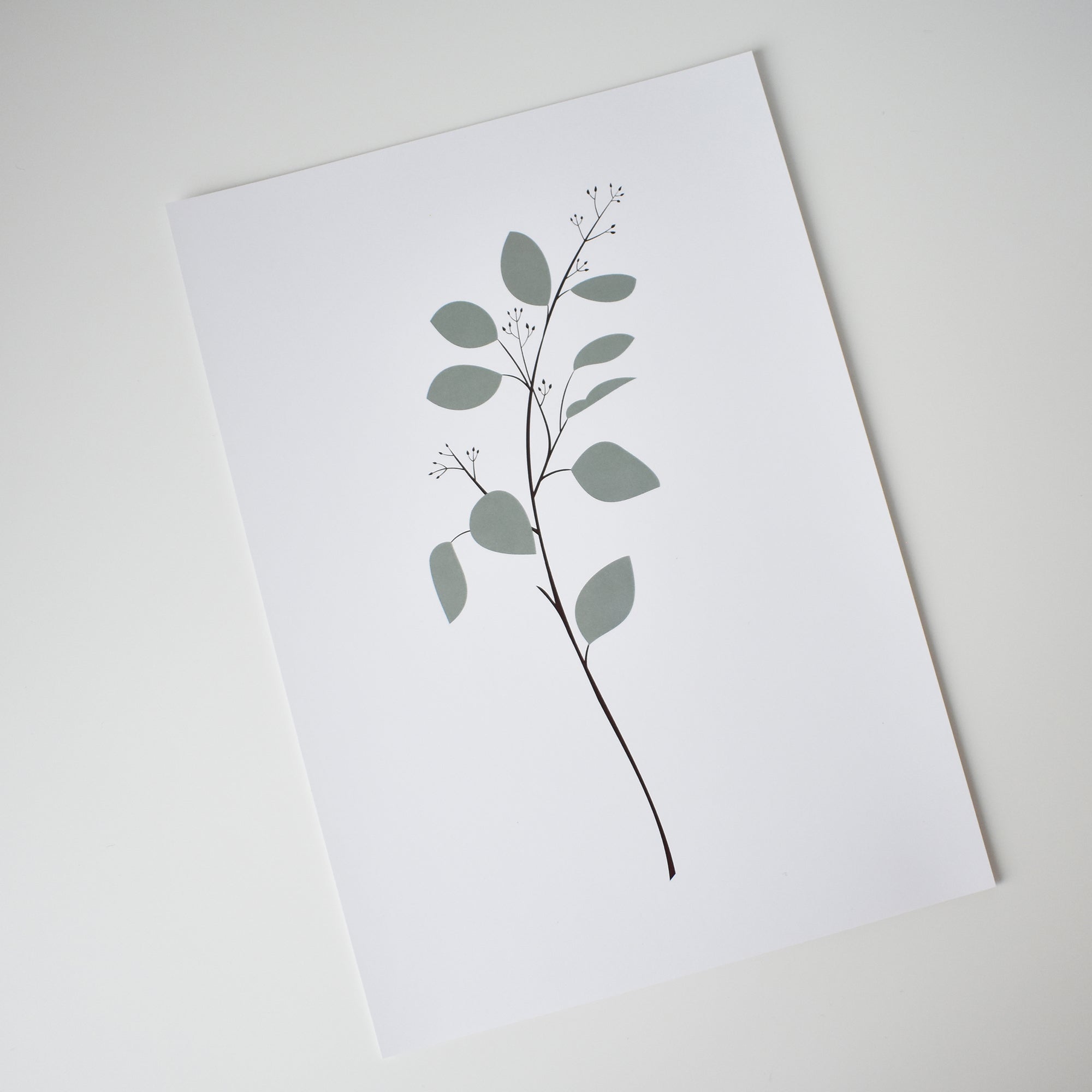 eucalyptus plant art print Elemente Design 