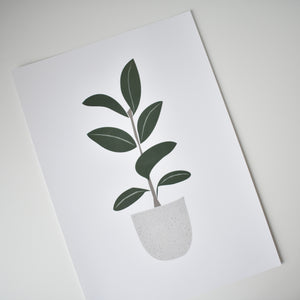 ficus elastica plant in ceramic pot art print elemente design
