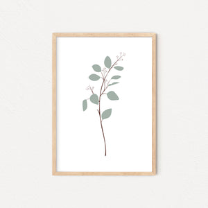 eucalyptus art print elemente design