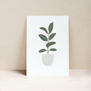 potted ficus plant poster elemente design