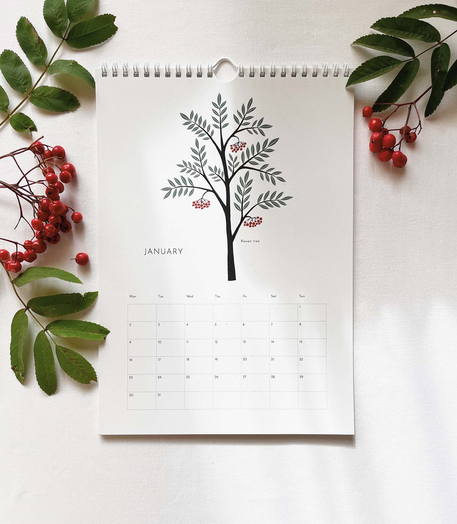 January calendar 2023 elemente design rowan tree illustrated