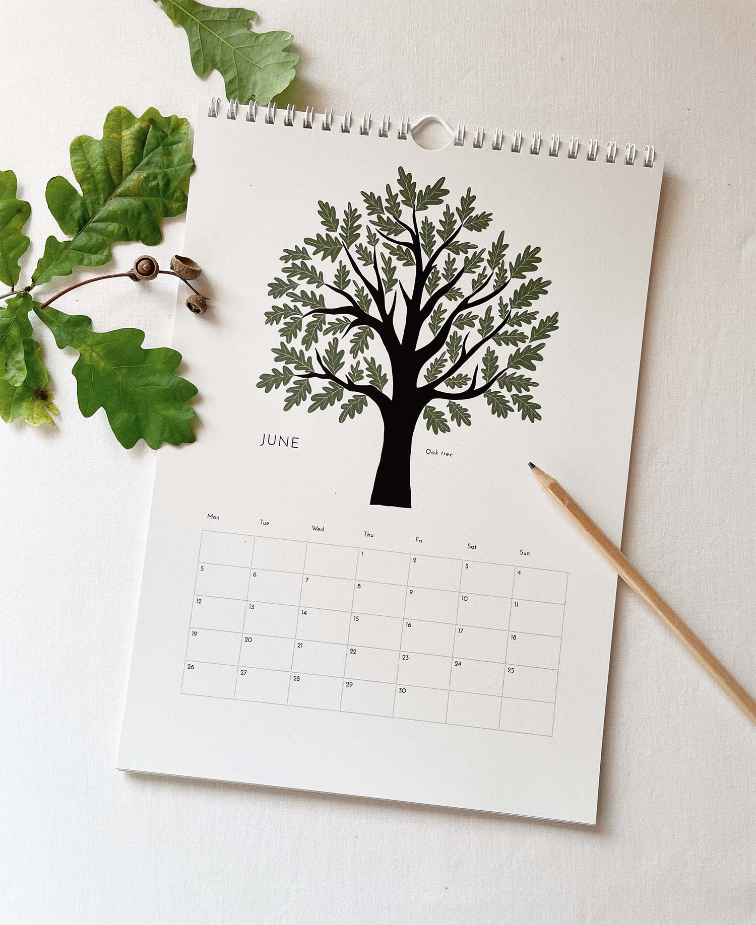 oak tree illustrated June 2023 calendar elemente design